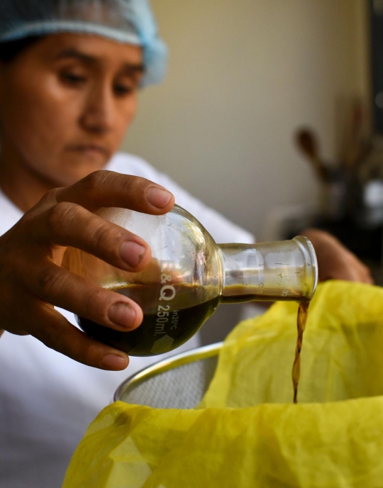 Kolombia gunakan ekstrak ganja untuk tingkatkan seksualitas wanita