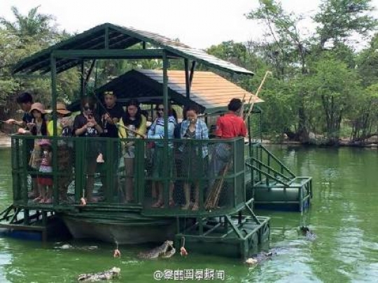 Foto turis kasih makan buaya di penangkaran bikin heboh netizen