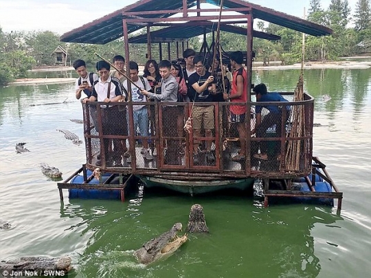 Foto turis kasih makan buaya di penangkaran bikin heboh netizen