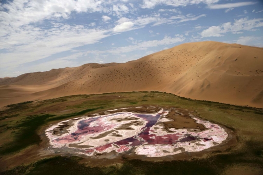 Fenomena oasis di Gurun Gobi yang mulai mengering
