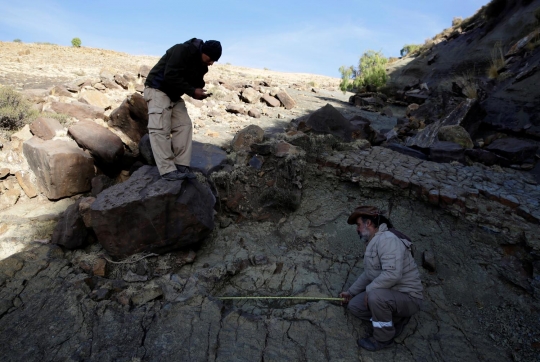 Penemuan jejak kaki dinosaurus di Bolivia