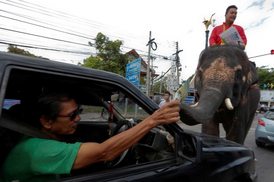 Aksi gajah Thailand ikut kampanye jelang referendum