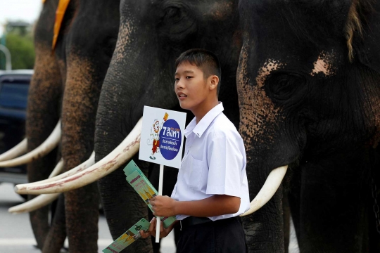 Aksi gajah Thailand ikut kampanye jelang referendum