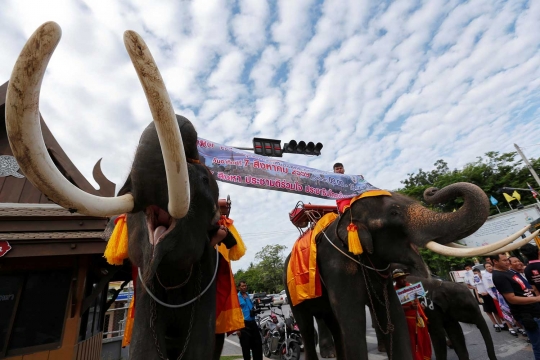 Aksi gajah Thailand ikut kampanye jelang referendum