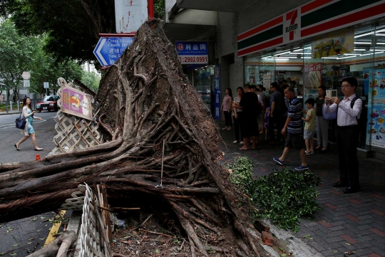 Kekuatan Topan Nida tumbangkan pohon-pohon besar di Hong Kong