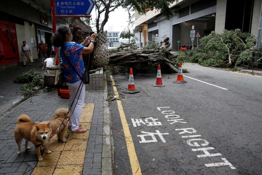 Kekuatan Topan Nida tumbangkan pohon-pohon besar di Hong Kong