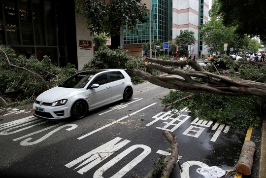Kekuatan Topan Nida tumbangkan pohon-pohon besar di Hong Kong