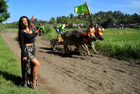 Pose seksi turis cantik ini bikin 'gagal fokus' nonton Makepung