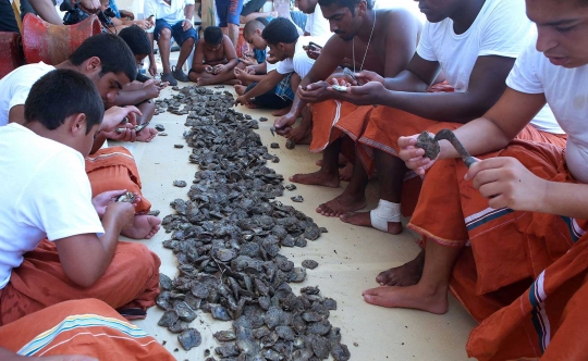 Para pemburu mutiara di laut Kuwait