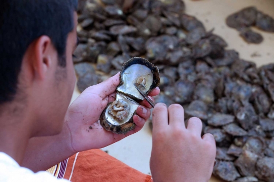 Para pemburu mutiara di laut Kuwait