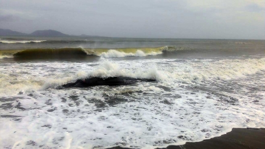 Ini foto penampakan paus 2 ton lebih yang terdampar di pantai Aceh