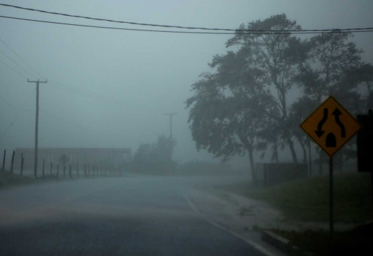 Dahsyatnya Badai Earl tumbangkan pohon-pohon di Belize