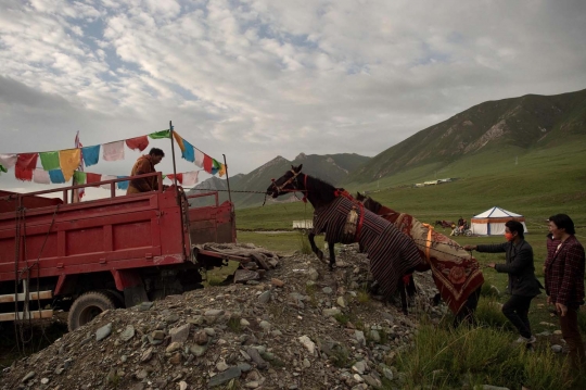 Menyaksikan balapan kuda di dataran tinggi Himalaya