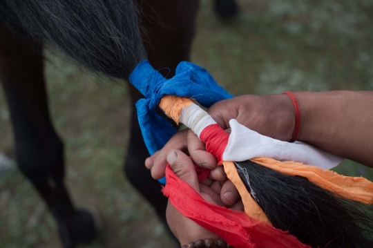 Menyaksikan balapan kuda di dataran tinggi Himalaya