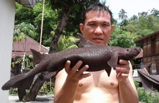 Penampakan ikan aneh yang gegerkan warga Manado