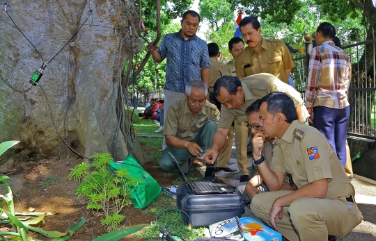 Ratusan pohon rawan tumbang di Bogor diberi KTP