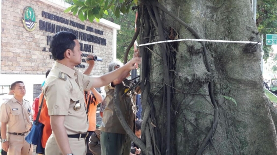 Ratusan pohon rawan tumbang di Bogor diberi KTP