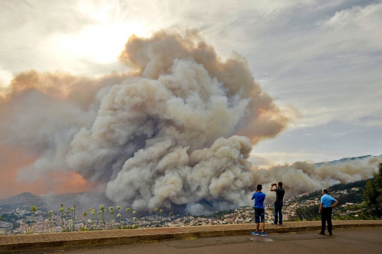 Ganasnya kebakaran hutan di Portugal sampai merembet ke kota