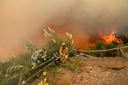 Ganasnya kebakaran hutan di Portugal sampai merembet ke kota