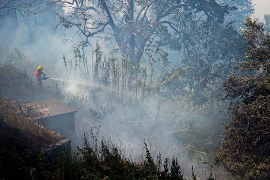 Ganasnya kebakaran hutan di Portugal sampai merembet ke kota