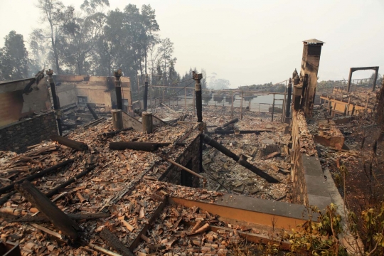 Ganasnya kebakaran hutan di Portugal sampai merembet ke kota