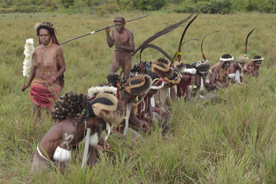 Menyaksikan perang antarsuku di Festival Lembah Baliem