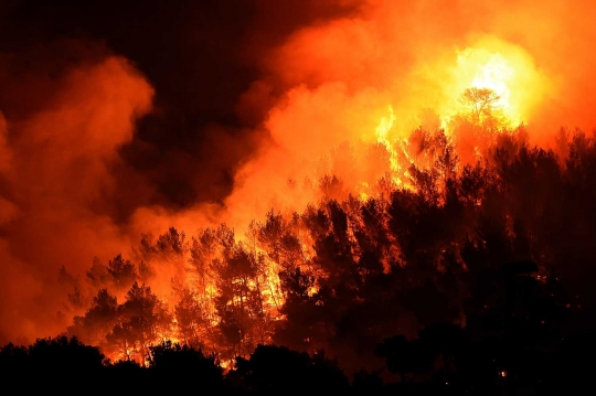 Ngerinya kobaran api lahap habis ribuan hektare hutan di Prancis