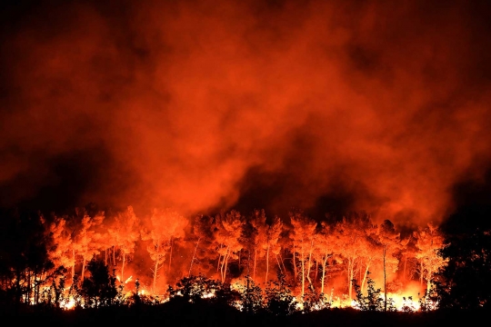 Ngerinya kobaran api lahap habis ribuan hektare hutan di Prancis