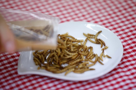 Potret warga Korea Selatan keranjingan kuliner ulat dan serangga