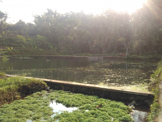 Menikmati keindahan bersahaja stupa Sumberawan di kaki Arjuno