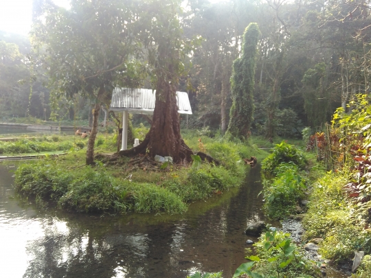 Menikmati keindahan bersahaja stupa Sumberawan di kaki Arjuno