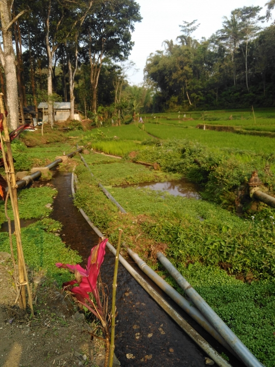 Menikmati keindahan bersahaja stupa Sumberawan di kaki Arjuno