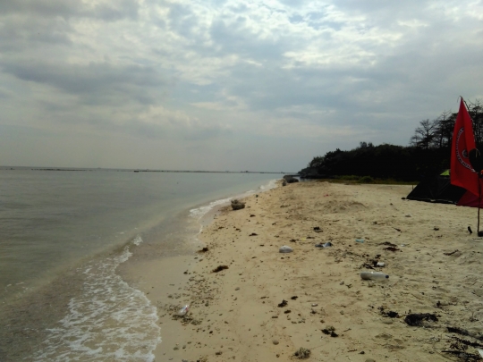 Menyusuri pasir putih di Pulau Panjang, Jepara