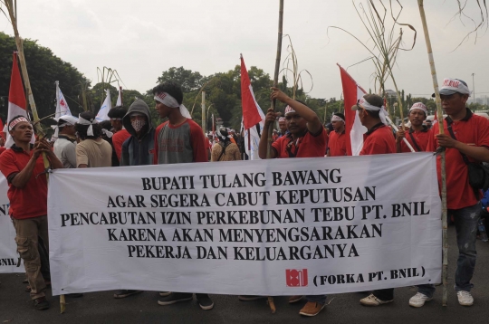 Aksi petani tebu tulang bawang bondong-bondong demo di Istana