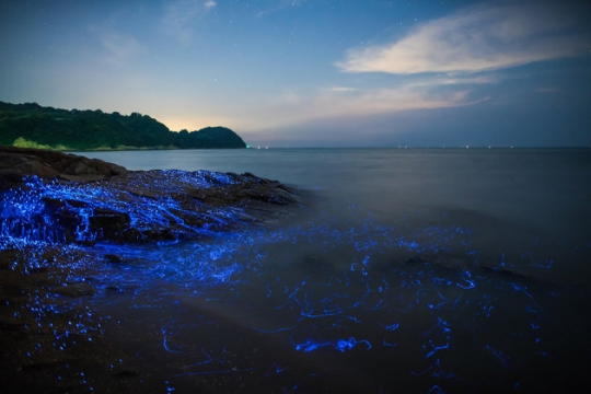 Keindahan batu-batu yang menangis di pantai Okayama, Jepang