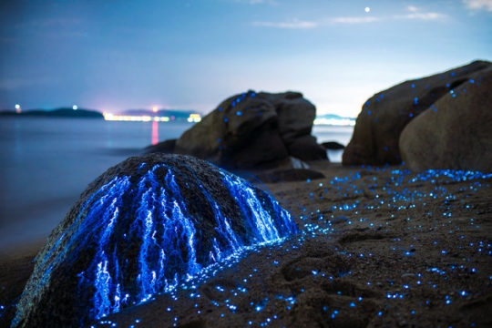 Keindahan batu-batu yang menangis di pantai Okayama, Jepang