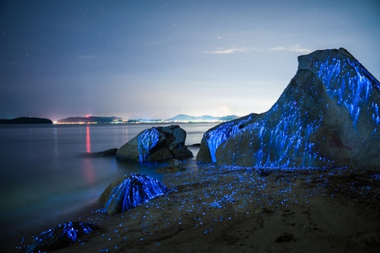 Keindahan batu-batu yang menangis di pantai Okayama, Jepang