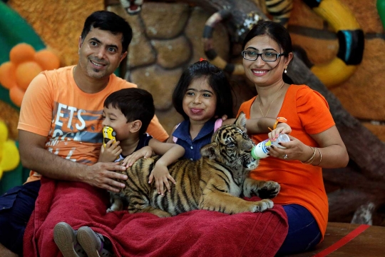 Atraksi menghibur harimau bersama sang pawang di Sriracha Tiger Zoo