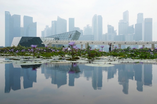 Kabut asap Riau kembali kepung Singapura