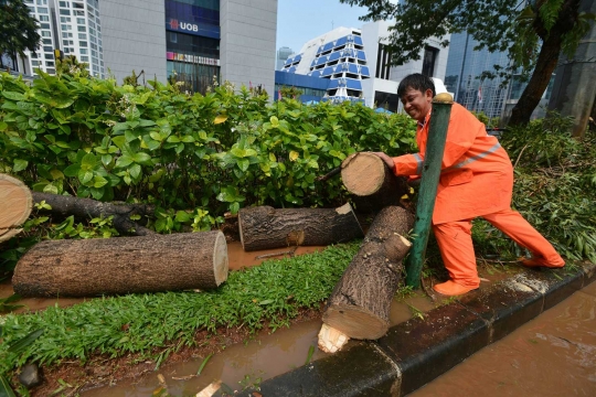 Hujan angin, pohon di Jalan Rasuna Said tumbang