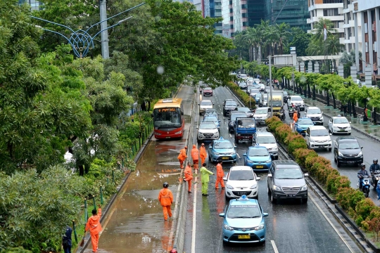 Hujan angin, pohon di Jalan Rasuna Said tumbang