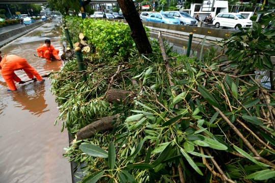 Hujan angin, pohon di Jalan Rasuna Said tumbang