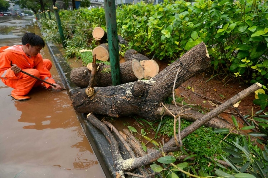 Hujan angin, pohon di Jalan Rasuna Said tumbang