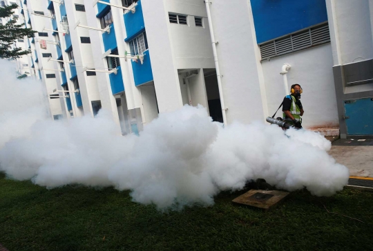 Darurat Zika, Singapura asapi perumahan warga