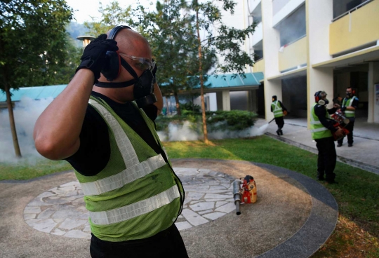 Darurat Zika, Singapura asapi perumahan warga