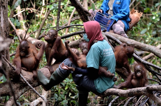 Melihat lebih dekat 'sekolah hutan' di Kalimantan