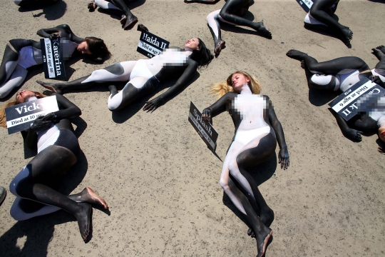 Protes perburuan paus, aktivis cantik ini nekat telanjang dada