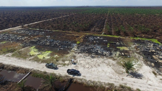 Penampakan ribuan hektare hutan di Riau berubah jadi arang