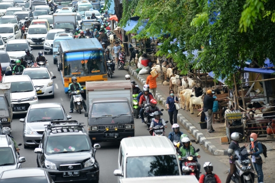 Bandelnya pedagang hewan kurban jualan di atas trotoar Tanah Abang