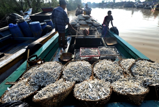 Nelayan keluhkan merosotnya harga ikan teri